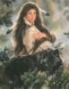 Схема вышивки «Индейская девушка и волк»