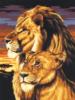 Лев и львица: оригинал