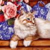 Схема вышивки «Милая кошка»