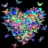 Fairy Tales - Butterfly Heart: оригинал