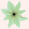 Схема вышивки «Stylish Flowers - Inverse»