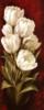 Схема вышивки «Stylish Decoration - Tulips»