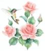 Схема вышивки «Колибри и розы»