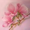Схема вышивки «Нежный розовый цветок»