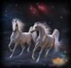 Схема вышивки «Небесные лошади»