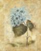 Схема вышивки «Flower Decoration - Blue Blooms»