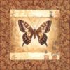 Схема вышивки «Decoration Butterfly»