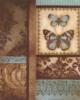 Схема вышивки «Butterfly Decoration»