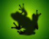 Лягушка на зеленом: оригинал