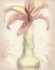 Flower Decoration - Lily: оригинал
