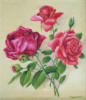 Схема вышивки «Три розы»