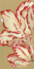 Схема вышивки «Red and White Tulips - Trio»