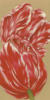 Схема вышивки «Red and White Tulips - Trio»