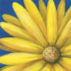Схема вышивки «Yellow Daisy - Close Up»