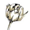 Black and White Tulips - Easy: оригинал