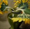 Схема вышивки «Sunflowers in Vase»