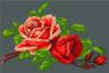 Прекрасные розы: оригинал