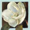 Flower Decoration - Magnolia: оригинал