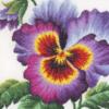 Схема вышивки «Цветок виолы»