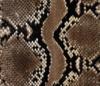 Схема вышивки «Snake Pattern»
