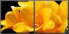 Схема вышивки «Yellow Flowers - Duo»