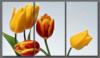 Схема вышивки «Yellow Tulips - Triptych»