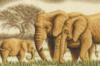 Схема вышивки «Слоненок родился»