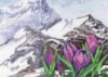 Схема вышивки «Альпийские цветы»