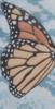 Monarch Butterfly Canvas Left: оригинал