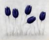 Схема вышивки «Magic Tulips on White»