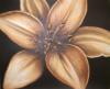 Схема вышивки «Bronze Flower - Lilly»