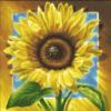 Схема вышивки «Sunflower»