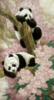 Схема вышивки «Pandas in Flowers»