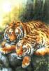 Тигры в лесу: оригинал