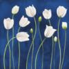 Схема вышивки «White Tulips on Blue»