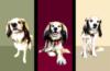 Схема вышивки «Dog Canvas»