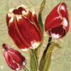Схема вышивки «Цветы "Тюльпаны" 2»
