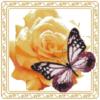 Схема вышивки «Бабочка и роза Подушка»
