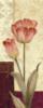 Схема вышивки «Flowers Decoration - Tulips»
