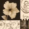 Схема вышивки «Black and White Flower - Easy»