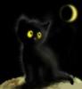 Черный котенок: оригинал