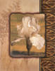 Схема вышивки «White Flower - Set of 4 - Iris»