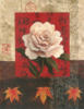 Схема вышивки «White Flower Collage - Rose»