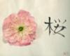 Схема вышивки «Японский цветок»