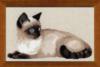 Схема вышивки «Тайская кошка»