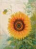 Схема вышивки «Sunflower»