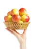 Схема вышивки «Яблочный спас»