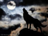 Схема вышивки «Волк воющий на луну»