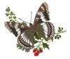 Схема вышивки «Бабочка и ягодки»