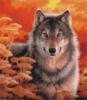 Осенний волк: оригинал